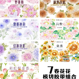 7.2〆【醒醒】マステ maskingtape 花花模切胶带