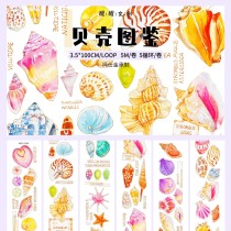 7.8〆【醒醒】マステ maskingtape  贝壳图鉴