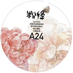 7.16〆 7月発送【Dingding】マステ maskingtape A24#粉绛