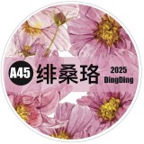 9.30〆 10月発送【Dingding】マステ maskingtape A45绯桑珞