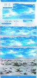9.28〆【景物志】マスキングテープ maskingtape 6月新作 夏漾