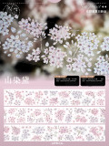 B1【現品】マスキングテープ maskingtape 在野集  贝壳光
