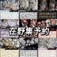 5m cut B1【現品】マスキングテープ maskingtape 在野集  贝壳光