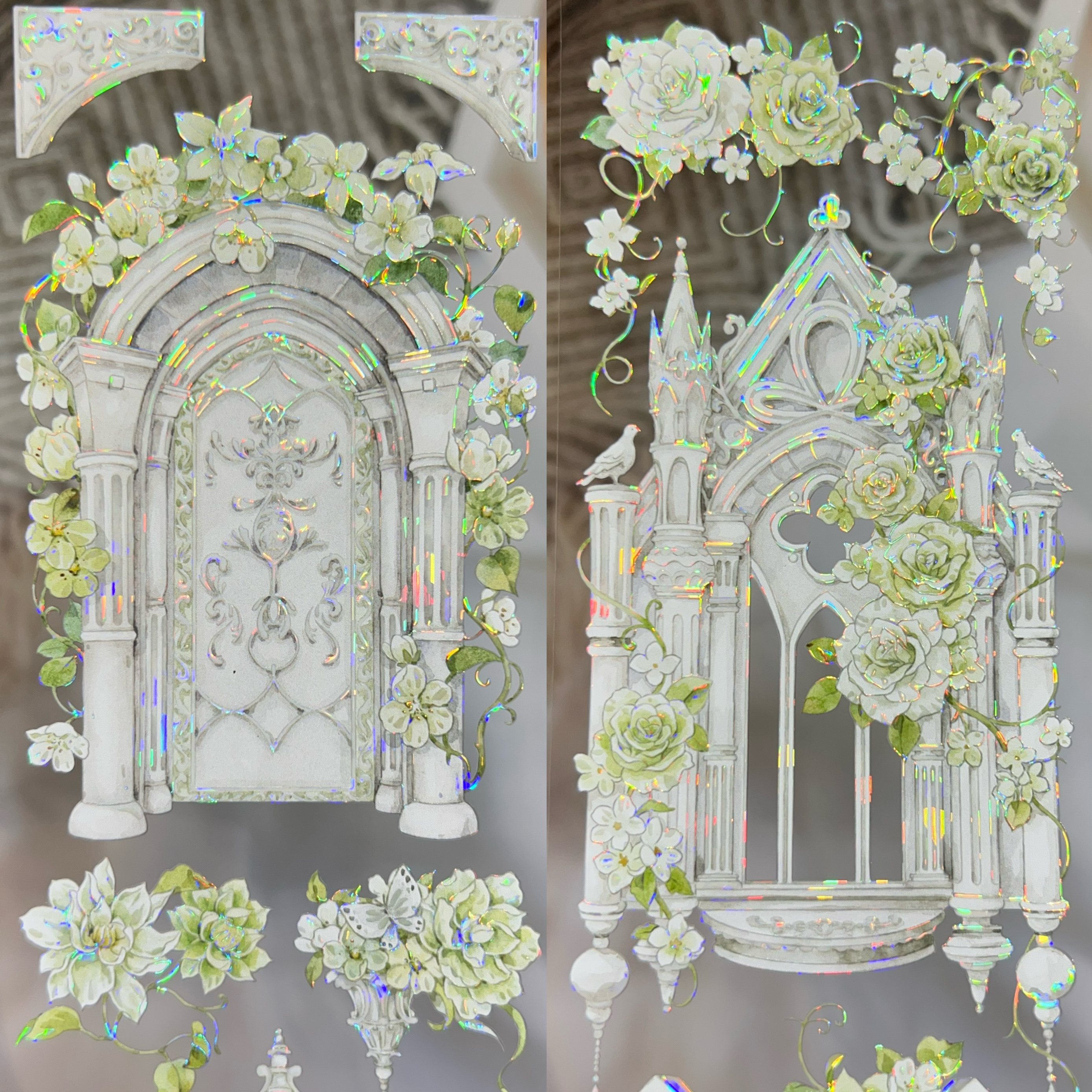 sale 100【魔法堂】マステ maskingtape 宫 贝壳光