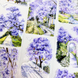 A【欣甜】マスキングテープ maskingtape 蓝花楹之路