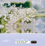 10 月発送【新七天】maskingtape マステ 新作