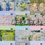 10 月発送【新七天】maskingtape マステ 新作