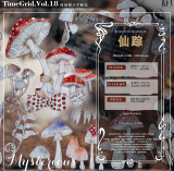 【現品】マスキングテープ maskingtape  时间格子