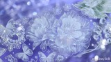 【Likey】マスキングテープ 蕾丝铃兰-白【PET贝壳光】