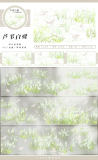 4.12〆【zero】マスキングテープ maskingtape 三月新品四时溪水菜田黄花鸟