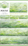 3.12〆【zero】マスキングテープ maskingtape 三月新品晴空星云雨雪梅莲灯