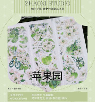 sale【朝夕】マスキングテープ 苹果园 贝壳光