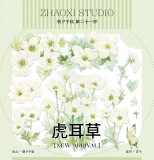 【6月末発送】マスキングテープ maskingtape 朝夕 6.8〆 合成纸 5m
