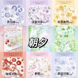 【6月末発送】マスキングテープ maskingtape 朝夕 6.8〆