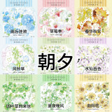 【6月末発送】マスキングテープ maskingtape 朝夕 6.8〆 合成纸 5m