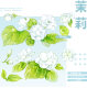 sale【空物馆】マスキングテープ 茉莉