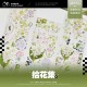 sale【冰川】 マスキングテープ 拾花集 贝壳光 10m