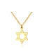 Elegante collar de titanio en forma de estrella chapado en oro