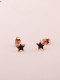 Aretes de titanio Sweet Star