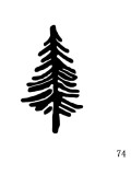 Collar de acero inoxidable Tree Minimalist tpye lettering Plant Series