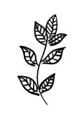 Collar de acero inoxidable Tree Minimalist tpye lettering Plant Series