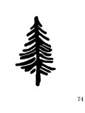 Collar de acero inoxidable Tree Minimalist tpye lettering Plant Series