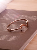 Anillo con Abertura de Titanio Color Rosa Fox