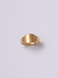 Titanio con anillos de banda geométricos lisos simplistas chapados en oro