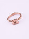Anillo de titanio con diamantes de imitación y calavera punk