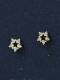 Pendiente de plata de ley 925 con circonita cúbica y estrella.