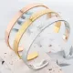 Brazalete de acero y titanio Fashion Leaf de 1 pieza