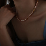 Collar plateado oro Titanium redondo lujoso elegante del acero 18K en bulto