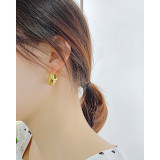 Pendientes De Acero Inoxidable Irregulares De Moda Pendientes De Acero Inoxidable