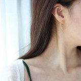 1 par de pendientes de acero de titanio chapados en cadena de Color sólido estilo Simple informal