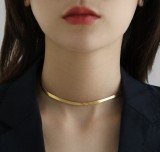 Estilo simple Color sólido Collar con revestimiento de acero de titanio 1 pieza