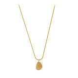 Collar de acero de titanio dorado para mujer, no se decolora, cadena de clavícula de nicho de lujo, joyería de alta gama, versátil, a la moda.