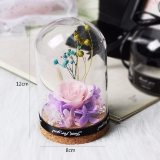 New Teddy Bear Rose Flowers In Glass Dome Christmas Festival DIY Cheap Home Wedding Decoration Birthday Valentine's Day Gifts