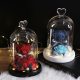 New Teddy Bear Rose Flowers In Glass Dome Christmas Festival DIY Cheap Home Wedding Decoration Birthday Valentine's Day Gifts