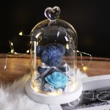 New Teddy Bear Rose Flowers In Glass Dome Christmas Festival DIY Cheap Home Wedding Decoration Birthday Valentine's Day Gifts