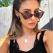 Retro Fashion Triangular Glasses Women Butterfly Cateye Sunglasses Classic Brand Shades For Women Luxury Small Leopard Glasses