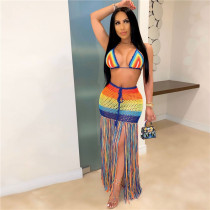 Rainbow Crochet Tassel Sexy 2 Piece Set Crop Top and Skirt Beach Party Club Birthday Outfits for Women D48-DF18