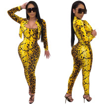 2021 High quality women two piece pants set Multicolor leopard print 2 piece jogger set women