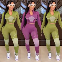 Casual Sport Fitness Print Knitted Tracksuit Women Sexy Zipper V Neck Crop Top + Leggings Bodycon Two Piece Set Jogging Femme