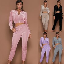 Velour Two Piece Set Women Tracksuit Spring Autumn Clothes Zipper Crop Top and Pants Suit Streetwear Women's Sets Velvet Outfits