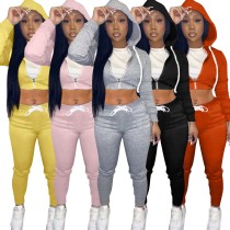 Wholesale fall winter women two piece set  for  women outfits long sleeve pants sets pants suits tracksuits sweatsuits female