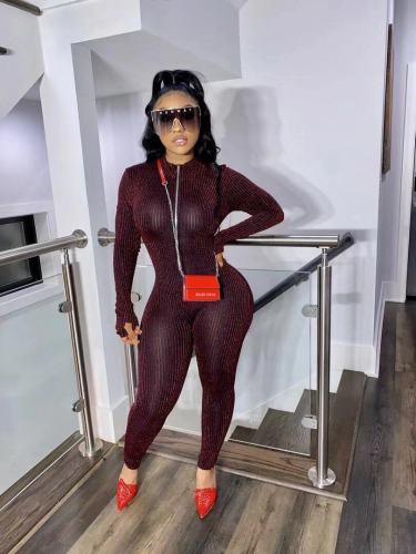 Striped Sheer Shiny Jumpsuit Women Fashion 2020 Zipper Front Long Sleeve Bodycon One Piece Outfits Club Wear D87-EI28