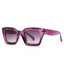 Square Cat Eye Sunglasses Women Fashion Retro Frame Brand Designer Sun Glasses Yellow Purple Eyewear Men Shades UV400