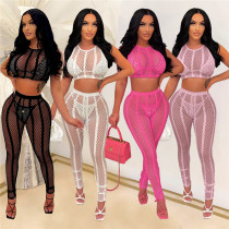 Sexy Mesh See Through Womens Two Peice Sets Summer Beach Outfits for Women Matching Sets Crop Top and Pant Suits Without Bikini