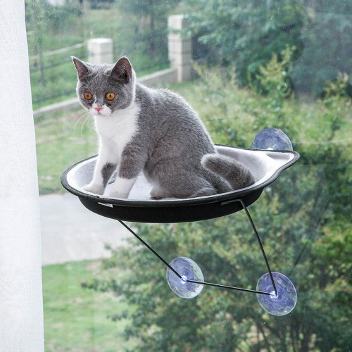 Cat Hammock | Suction Cup Hanging Litter Seasons Pet Supplies