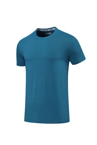 Men's Quick-dry Sports Fitness T-shirt Lake Blue #201